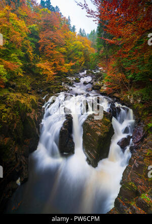 Spectacular autumn colours at  Black Linn Falls at The Hermitage a famous beauty spot near Dunkeld in Perthshire, Scotland Stock Photo