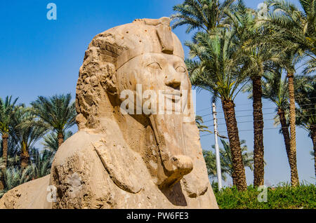 Memphis Unesco World Heritage, Cairo, Egypt - April 2018. Ancient Sphinx statue. Stock Photo