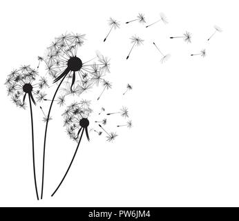 Abstract dandelion background  vector illustration Stock Vector
