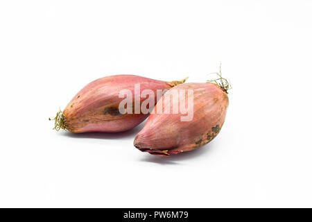 Shallot onions isolated on white background Stock Photo