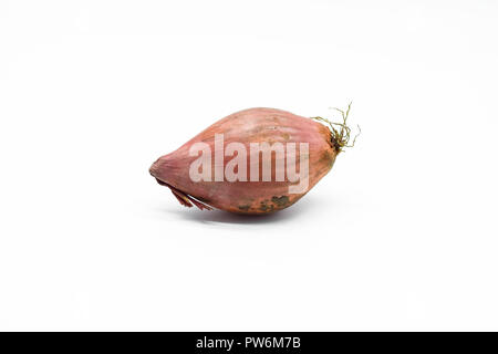 Shallot isolated on white background Stock Photo