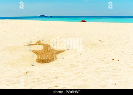 Sand sculpture of a shark on the beach, Hangnaameedhoo, Maledives. Copy space for text Stock Photo