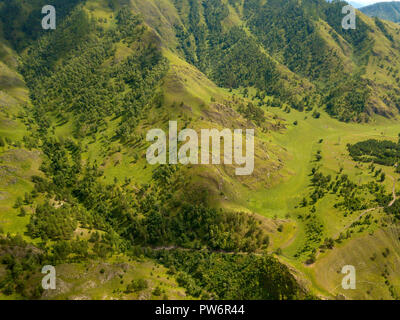 Aerial view of the mountains with green grass and trees with lots of hills and glades on a warm clear sunny day in the Altai Mountains. The freshness  Stock Photo