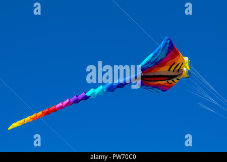 bright, rainbow colors, geometric patterns of kites on the background of pure blue sky Stock Photo