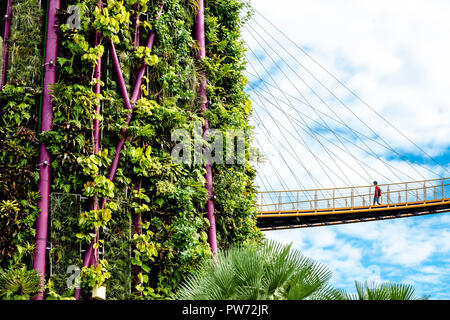 Singapore - July 1 2018: Architectural details of Supertree Grove at Gardens by the Bay Singapore Stock Photo