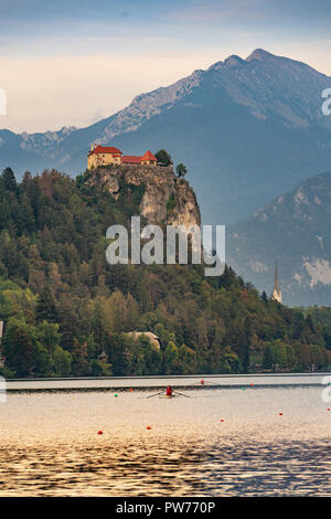 Municipality of Bled - Wikipedia