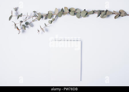 Minimal composition of blank notepad and eucalyptus branch on white background. Top view of desk with empty sheet near green twig, ready for text and  Stock Photo