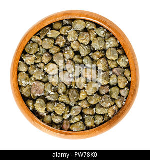 Salted capers in wooden bowl. Green, dried, pickled in sea salt, seasoning or garnish. Flower buds, capparis spinosa, caper bush, Flinders rose. Stock Photo