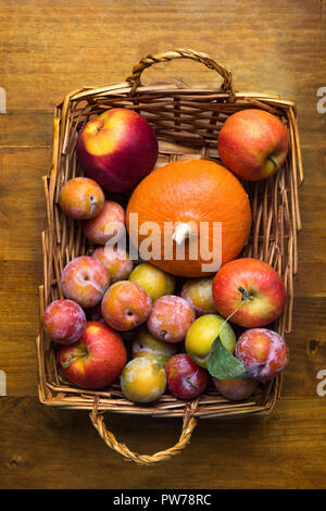 Colorful freshly picked plums Mirabelles red yellow green apples orange pumpkin in wicker basket on aged wood background. Thanksgiving autumn fall har Stock Photo