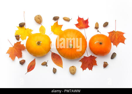 Autumn flat lay with various pumpkins and dried leaves on white background Stock Photo