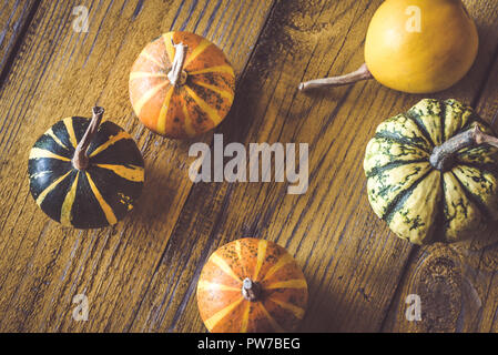 Variety of ornamental pumpkins on the wooden background Stock Photo