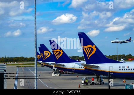 Tail-fins of Ryanair Boeing 737 with logo at London, Stansted airport, Stock Photo