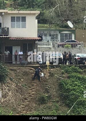 UTUADO, Puerto Rico, Oct. 2, 2017 -- Members of the Federal Emergency Management Agency's Urban Search and Rescue New York Task Force 1 deliver medical supplies to Utuado, Puerto Rico. The task force is working with Health and Human Services to ensure medical supplies are delivered to isolated communities. Stock Photo