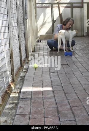 DUBAI, United Arab Emirates (Sept. 28, 2017) U.S. Navy Gunner’s Mate 1st Class Melissa Lindeman, from Lebanon, Ore., volunteer at the K9 Friends dog shelter in Dubai, United Arab Emirates, Sept. 28, 2017. Nimitz is deployed in the U.S. 5th Fleet area of operations in support of Operation Inherent Resolve. While in this region, the ship and strike group are conducting maritime security operations to reassure allies and partners, preserve freedom of navigation, and maintain the free flow of commerce. Stock Photo