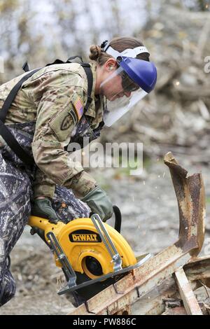 Sgt. Corine Barrera, a horizontal construction sergeant with the 207th Engineer Utilities Detachment, participates in a field demonstration using the new Hydraulic, Electric, Pneumatic, Petroleum Operated Equipment system at the Engineer Training Facility at Camp Carroll on Joint Base Elmendorf-Richardson, Alaska, Sept. 27, 2017. The HEPPOE system contains hydraulic pneumatic tools to saw, bend, cut, and destroy concrete, rebar, trees, and other debris. The new equipment will help the engineers accomplish construction projects both downrange and in garrison, and is an added response capability Stock Photo