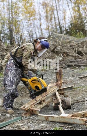 Sgt. Corine Barrera, a horizontal construction sergeant with the 207th Engineer Utilities Detachment, participates in a field demonstration using the new Hydraulic, Electric, Pneumatic, Petroleum Operated Equipment system at the Engineer Training Facility at Camp Carroll on Joint Base Elmendorf-Richardson, Alaska, Sept. 27, 2017. The HEPPOE system contains hydraulic pneumatic tools to saw, bend, cut, and destroy concrete, rebar, trees, and other debris. The new equipment will help the engineers accomplish construction projects both downrange and in garrison, and is an added response capability Stock Photo