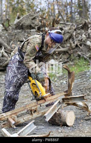 Sgt. Corine Barrera, a horizontal construction sergeant with the 207th Engineer Utilities Detachment, participates in a field demonstration using the new Hydraulic, Electric, Pneumatic, Petroleum Operated Equipment system at the Engineer Training Facility at Camp Carroll on Joint Base Elmendorf-Richardson, Alaska, Sept. 27, 2017. The HEPPOE system contains hydraulic pneumatic tools to saw, bend, cut, and destroy concrete, rebar, trees, and other debris. The new equipment will help the engineers accomplish construction projects both downrange and in garrison, and is an added response capability Stock Photo