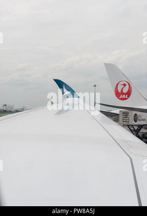 Bangkok, Thailand - August 16, 2018 : Cathay Pacific Airbus 350-900 winglet with JAL airline on background at Bangkok International Airport Stock Photo