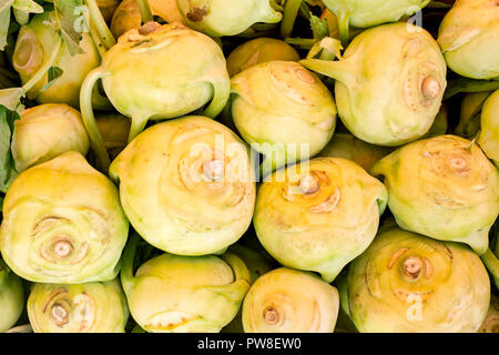 Close up shot of Kohlrabi stems (also called german turnip) Stock Photo