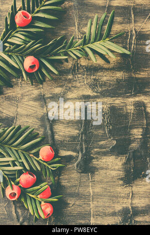 Paper Border Frame Red Christmas Border with Evergreen Branches, Red Baubles and Dried Orange ...