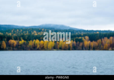 Fuzzy background- autumn Norwegian landscape (boreal forest with yellow trees). Stock Photo