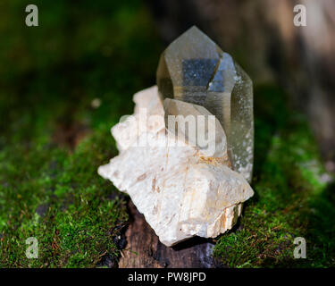 Cathedral citrine quartz point from Brazil nestled in matrix on moss, bryophyta and bark, rhytidome in forest preserve. Stock Photo