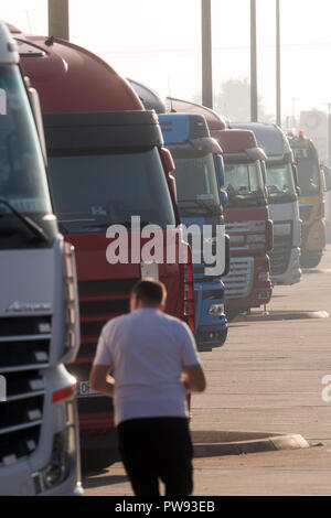 Bautzen, Saxony. 10th Oct, 2018. Trucks are standing close to each other at a resting place at the federal motorway A2. (to dpa 'Too few parking spaces on motorways' from 14.10.2018) Credit: Klaus-Dietmar Gabbert/dpa-Zentralbild/dpa/Alamy Live News