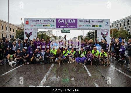 Madrid, Spain. 14th October 2018. Perroton Madrid 2018 is the 7th edition of the solidarity race for the adoption and responsible holding of companion animals whose ambassador is the actress and singer Alejandra Botto on Oct 14, 2018 in Madrid, Spain Credit: Jesús Hellin/Alamy Live News Stock Photo