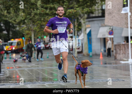 Madrid, Spain. 14th October 2018. Perroton Madrid 2018 is the 7th edition of the solidarity race for the adoption and responsible holding of companion animals whose ambassador is the actress and singer Alejandra Botto on Oct 14, 2018 in Madrid, Spain Credit: Jesús Hellin/Alamy Live News Stock Photo