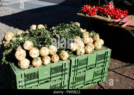 Sellerie Knolle mit grünem Kraut, auf einem Marktstand auf dem Bauernmarkt Stock Photo