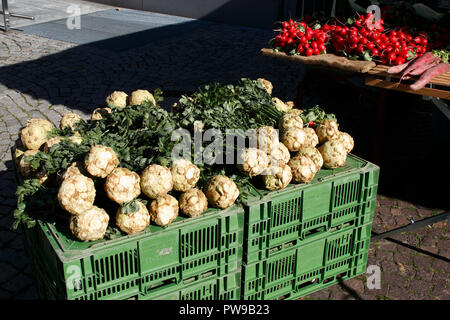 Sellerie Knolle mit grünem Kraut, auf einem Marktstand auf dem Bauernmarkt Stock Photo