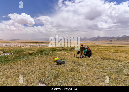 Kyrgyz herders and yak packed for expedition with Afghan Great Pamir in background on trek from Keng Shiber to Kara Jilga, Pamir Mountains, Tajikistan Stock Photo