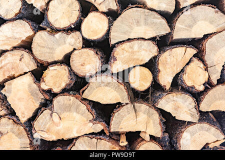 Stacked firewood Stock Photo