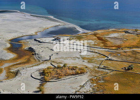 Fall colors alongside Pangong Lake, Meerak village, Ladakh, India Stock Photo