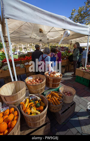 Farmers Market on Copley Square, Back Bay, Boston, MA Stock Photo