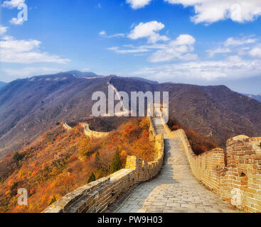 The great wall of China - noboy walks along wide passage atop of the wall's section high in Mutianyu mountains on a sunny autumn day. Long chain of th Stock Photo