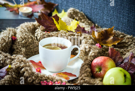 white cup with hot tea, steam, woolen material surrounds a saucer, maple multi-colored leaves on a cloth, two apples and chestnuts, autumn look, Stock Photo
