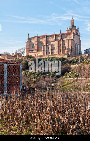 Catedral y antiguo secadero de tabaco. Coria. Cáceres. Extremadura. España. Stock Photo