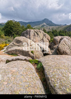 Formaciones graníticas. Valle de la Barranca en la Sierra de Guadarrama y dentro del 'Parque regional de la cuenca alta del Manzanares' (reserva de la Stock Photo