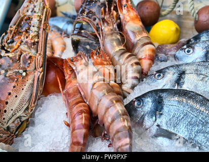 Mixed seafood display on a fishmongers crushed ice counter Stock Photo