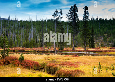 Autumn Colors Along the Lewis River in Yellowstone National Park, Wyoming Stock Photo