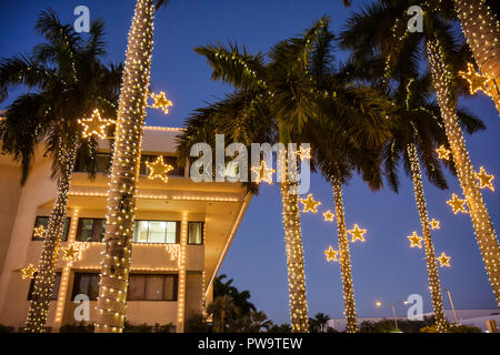 Miami Beach Florida,City Hall,building,palm trees,dusk,evening,Christmas lights,winter holiday,season,seasonal,decoration,star,frond,tropical,traditio Stock Photo
