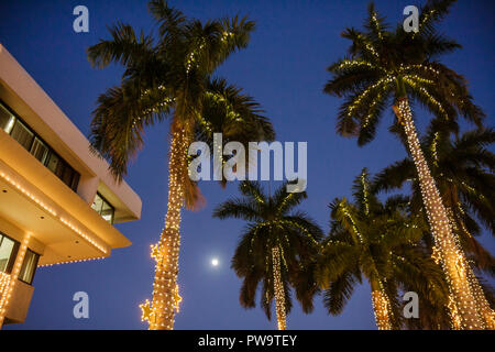 Miami Beach Florida,City Hall,building,palm trees,dusk,evening,Christmas lights,winter holiday,season,seasonal,decoration,star,frond,tropical,moon,tra Stock Photo