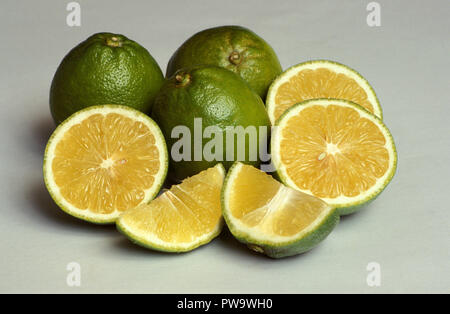 WHOLE, SLICED AND WEDGES OF FRESHLY HARVESTED TAHITIAN OR PERSIAN LIMES (CITRUS LATIFOLIA) ON WHITE BACKGROUND. Stock Photo
