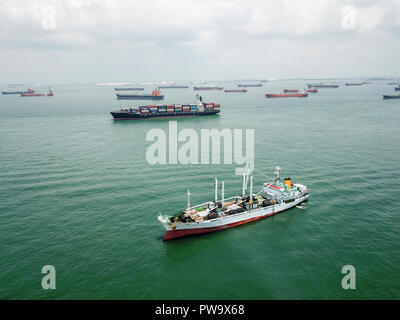 Drone aerial view of Container Ships and Tankers waiting to dock  Sentosa Island, Singapore.  Image captured with a DJI Mavic Pro on 21st Aug 2018. Stock Photo