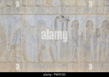 Detail of a relief of the eastern stairs of the Apadana in Persepolis in northern Shiraz, Iran - one of the UNESCO world heritage sites Stock Photo