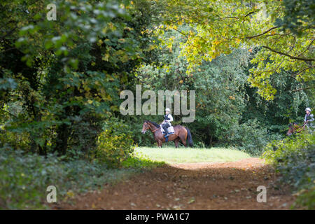 Newmarket, Suffolk, UK, 2018-10-13. Horses  being exercised on Newmarket gallops ahead of today racing. Dat two of the two-day Dubai Future Champions  Stock Photo