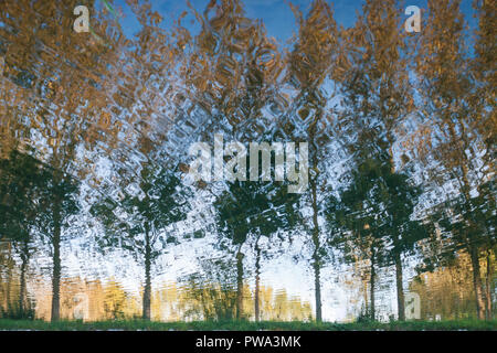 An abstract image of fall foliage reflected in the Dijle River on a sunny day. Stock Photo