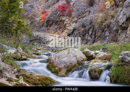 Long exposure mountain creek in a canyon and autumn colors Stock Photo