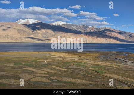 Wheat and barley fields front Tso Moriri Lake, Ladakh, India Stock Photo